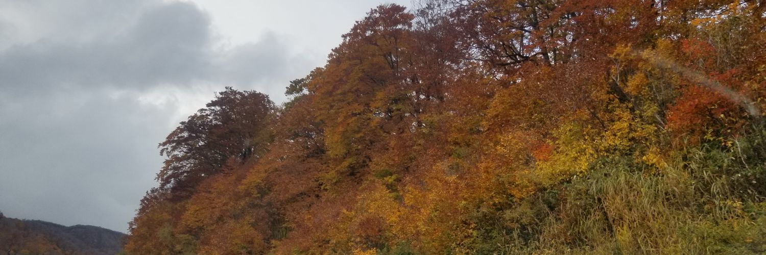 kaisayama's profile banner image