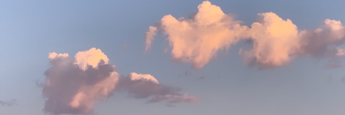 Lynnzee Fraye banner