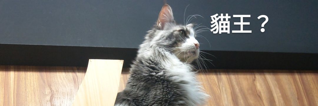 WistarHsu's profile banner image