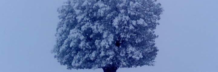 umutvar72's profile banner image