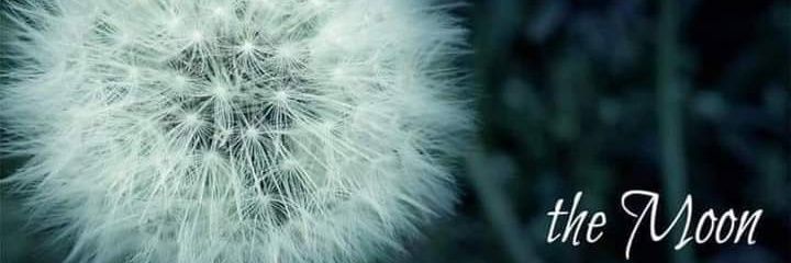 WickedSyn82's profile banner image
