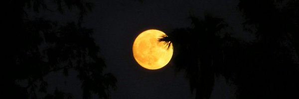 cellogirl22 Profile Banner