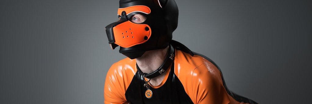 KyuubiPup's profile banner image