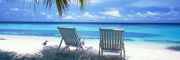 JenyRen Profile Banner