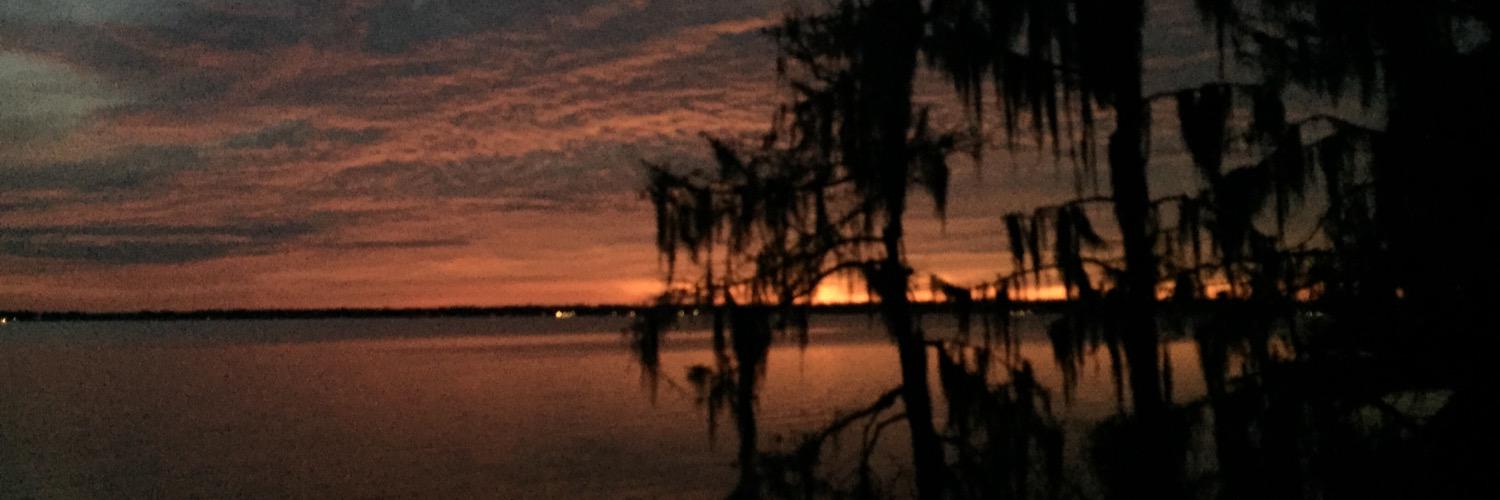 haley_ellison's profile banner image