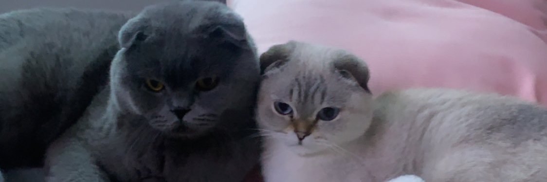 x0mrw's profile banner image