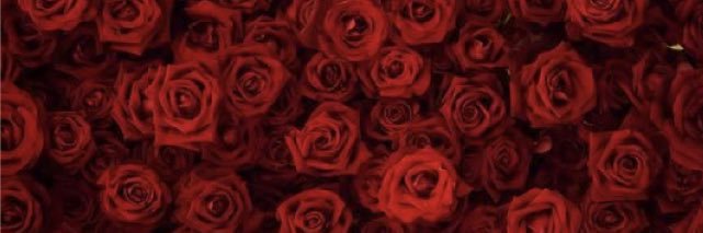 yramwhite's profile banner image