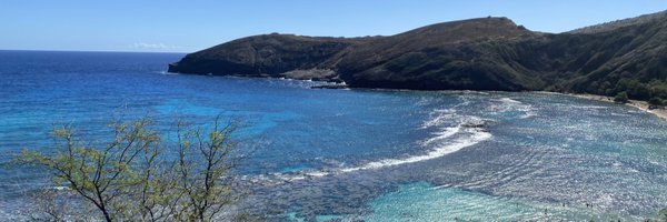 Courtniestetz7 Profile Banner