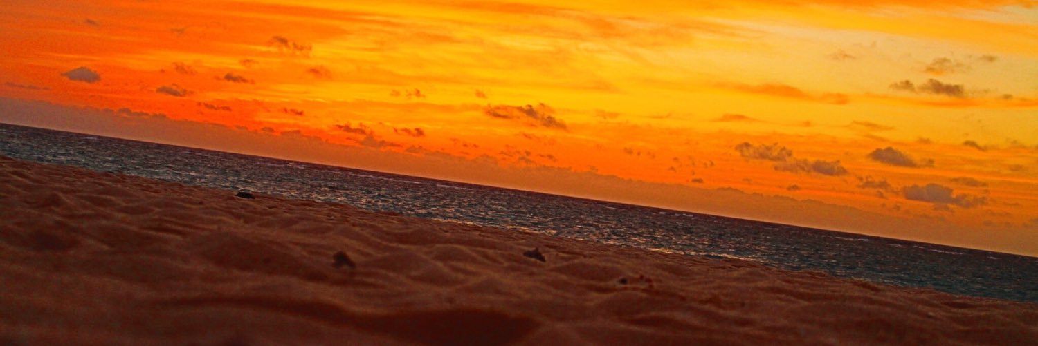 aranomics_'s profile banner image