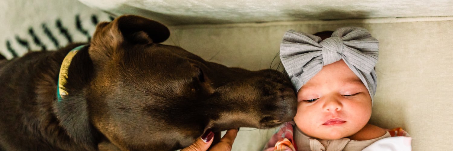AmyMarie_5's profile banner image