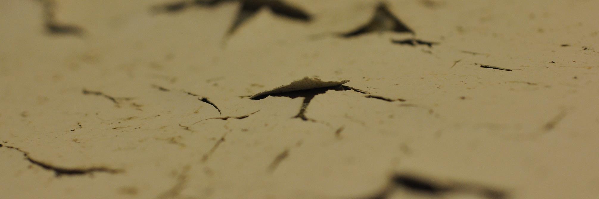 GreySomething's profile banner image