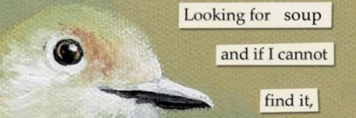 bbzucchini's profile banner image