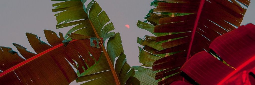 gayshitposts's profile banner image