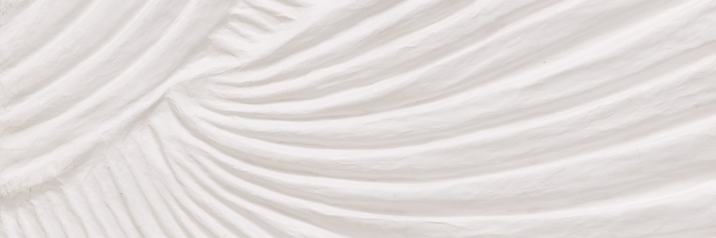 LilEmRose's profile banner image