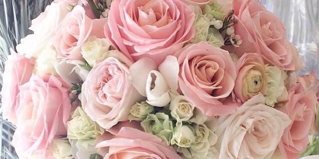 Hadil214's profile banner image