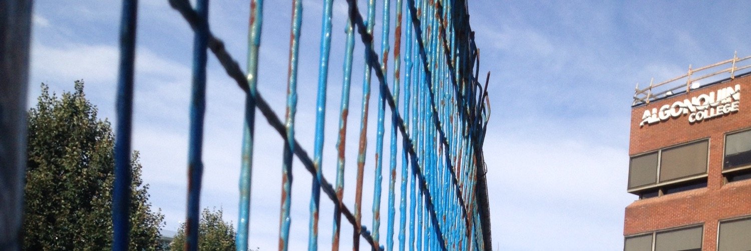 Rebecca Delle Palme banner