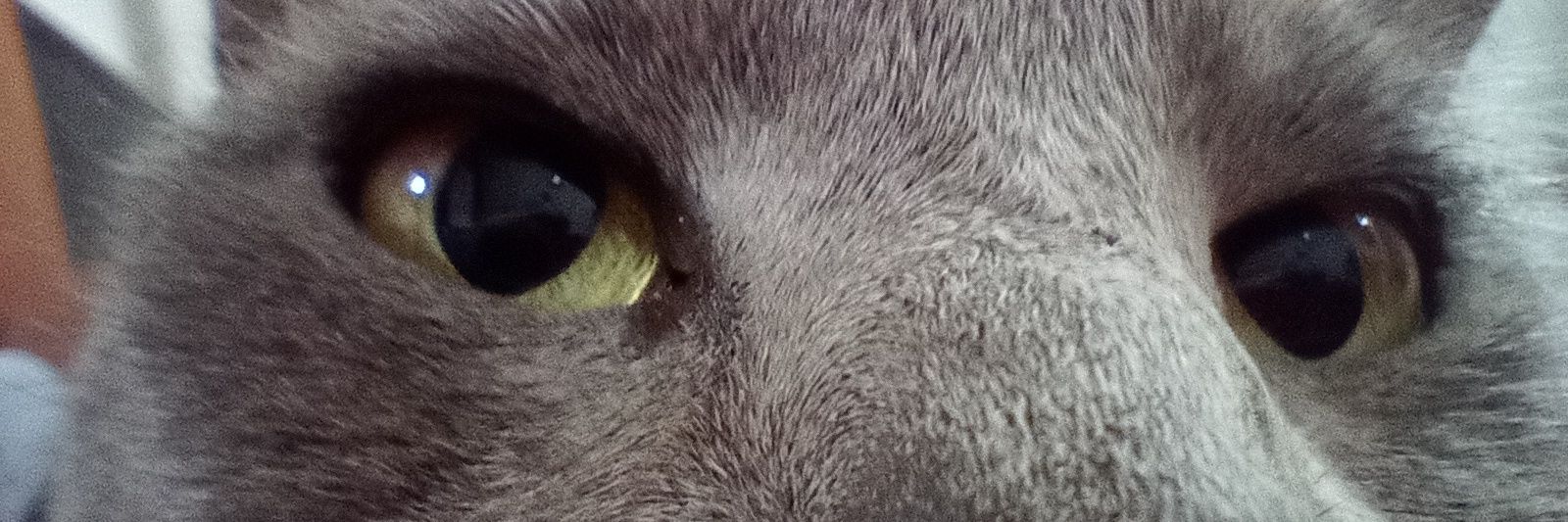 luaiimar's profile banner image