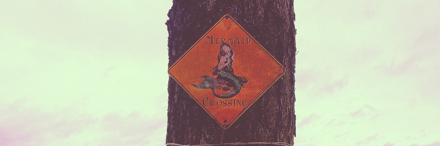 ChristyCastine's profile banner image