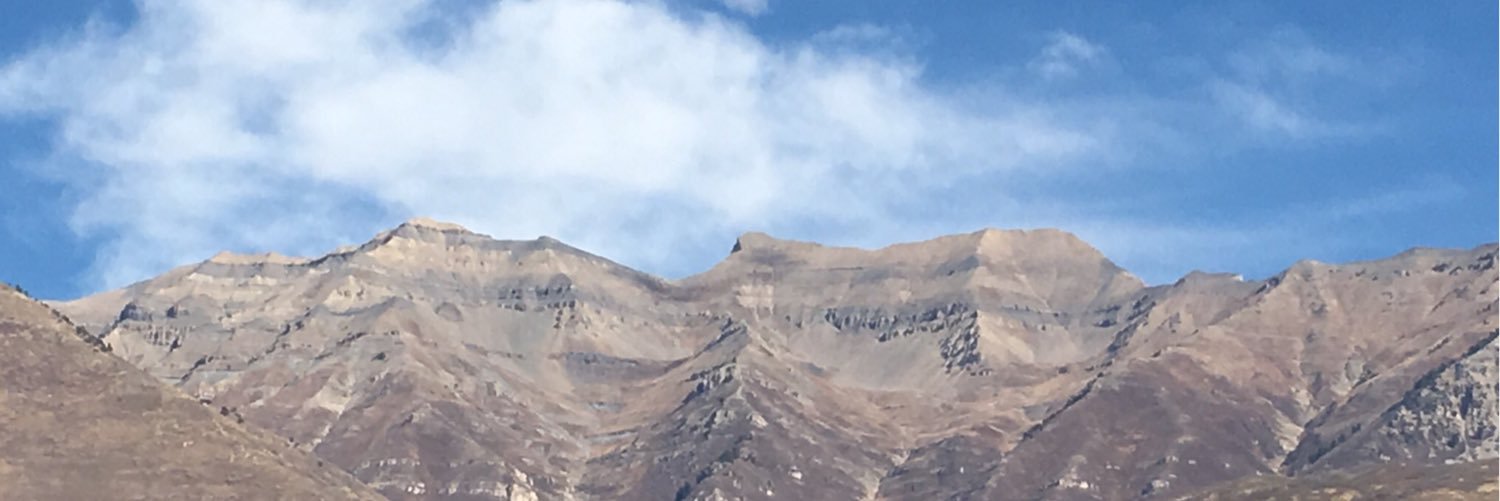 Carine Clark, Board Director, CEO banner