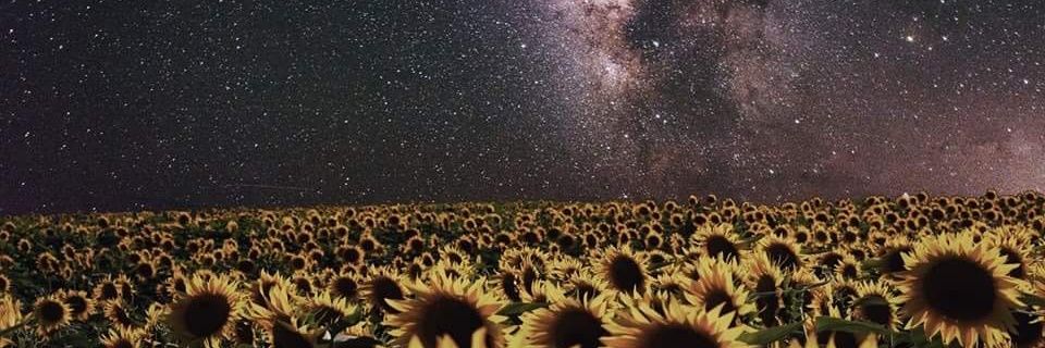 _Zach__1's profile banner image