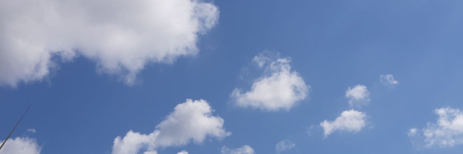 pigaboomoo's profile banner image