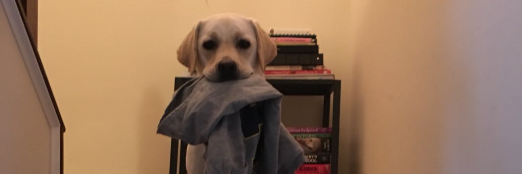 tbluemling's profile banner image