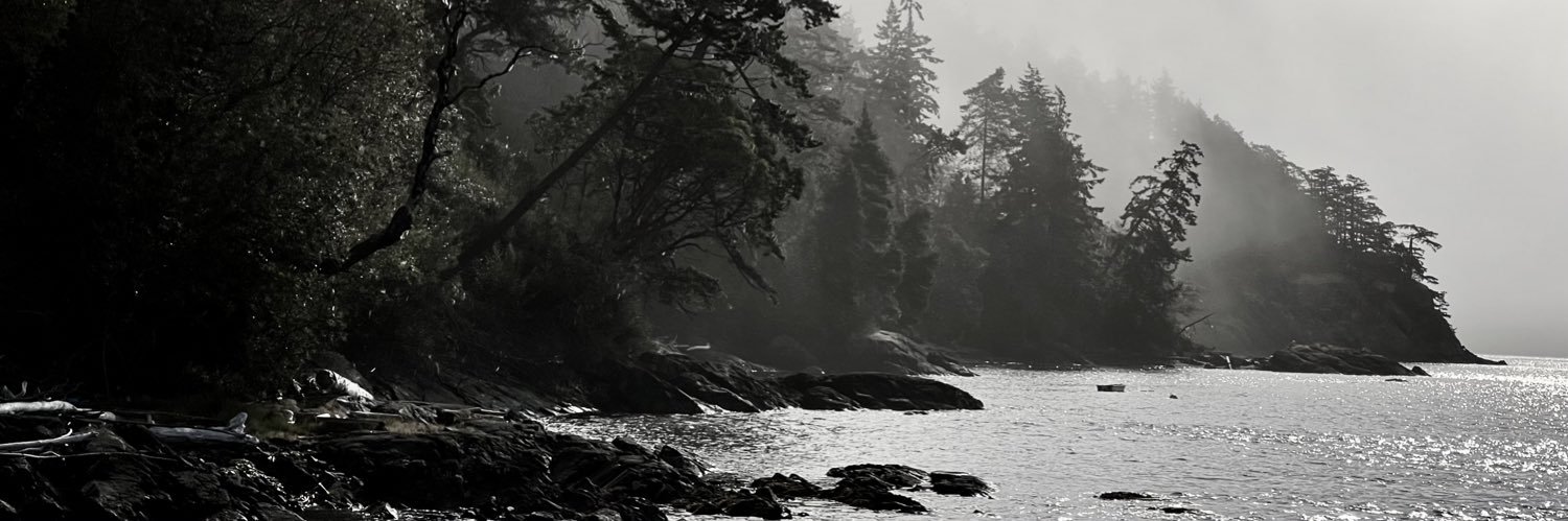 Stephan Roche banner