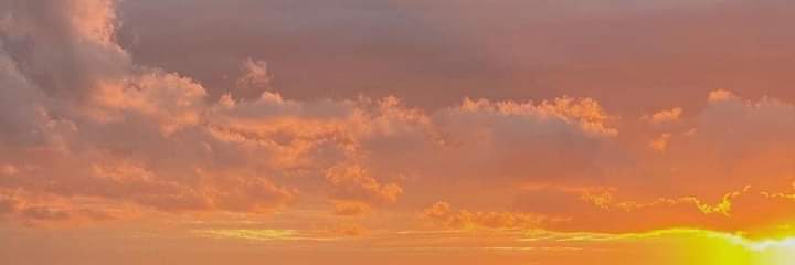 krissiarg's profile banner image