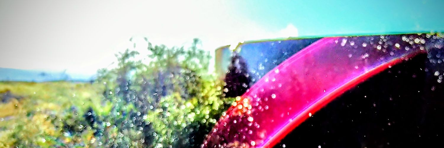 Callie Ellen Snyder banner