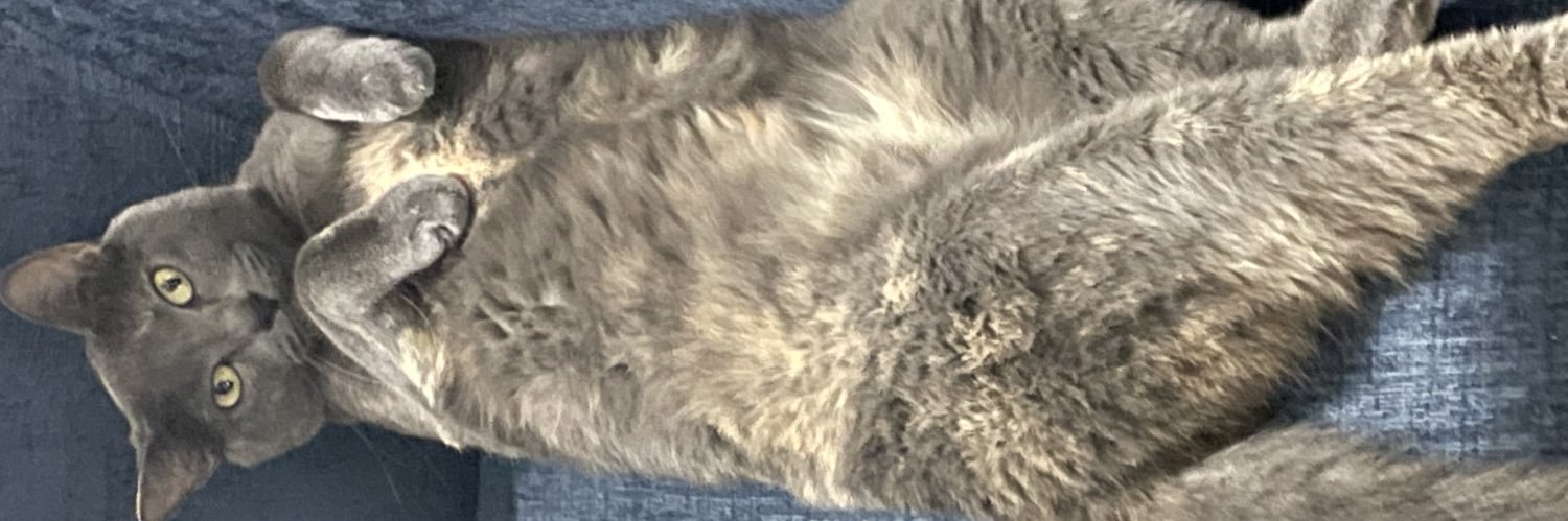 claudiagh7's profile banner image