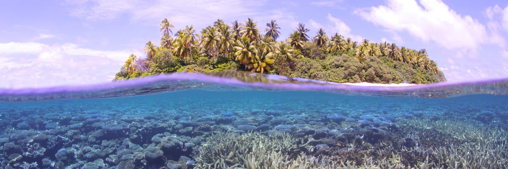 TheIslandVoices's profile banner image