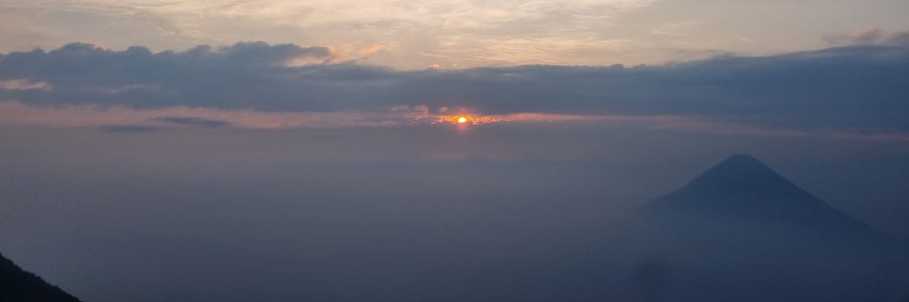 jackie_541's profile banner image