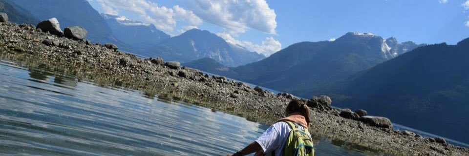 alliewardd's profile banner image