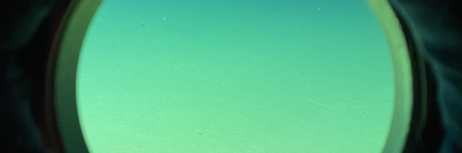 MunidaGregaria's profile banner image
