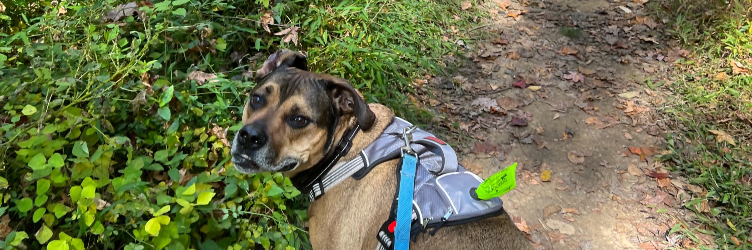 MurphyTaylor1's profile banner image