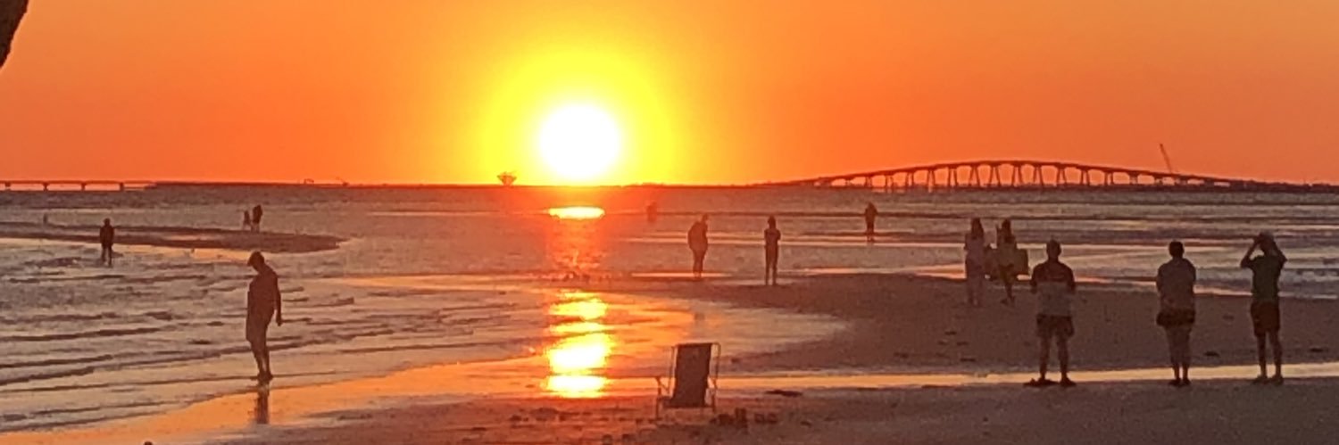 McLeanMeredith's profile banner image