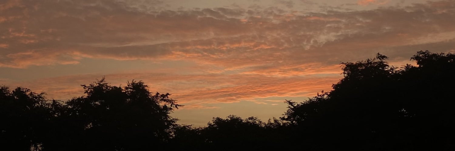 PierinaEscobar1's profile banner image