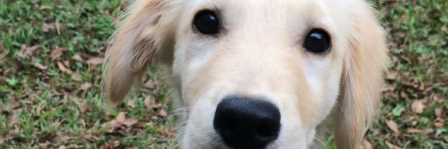 alextjordan's profile banner image