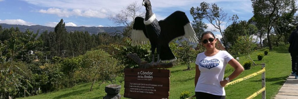 ingrid_aleja's profile banner image