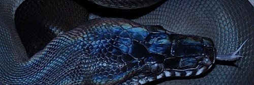 artange_'s profile banner image