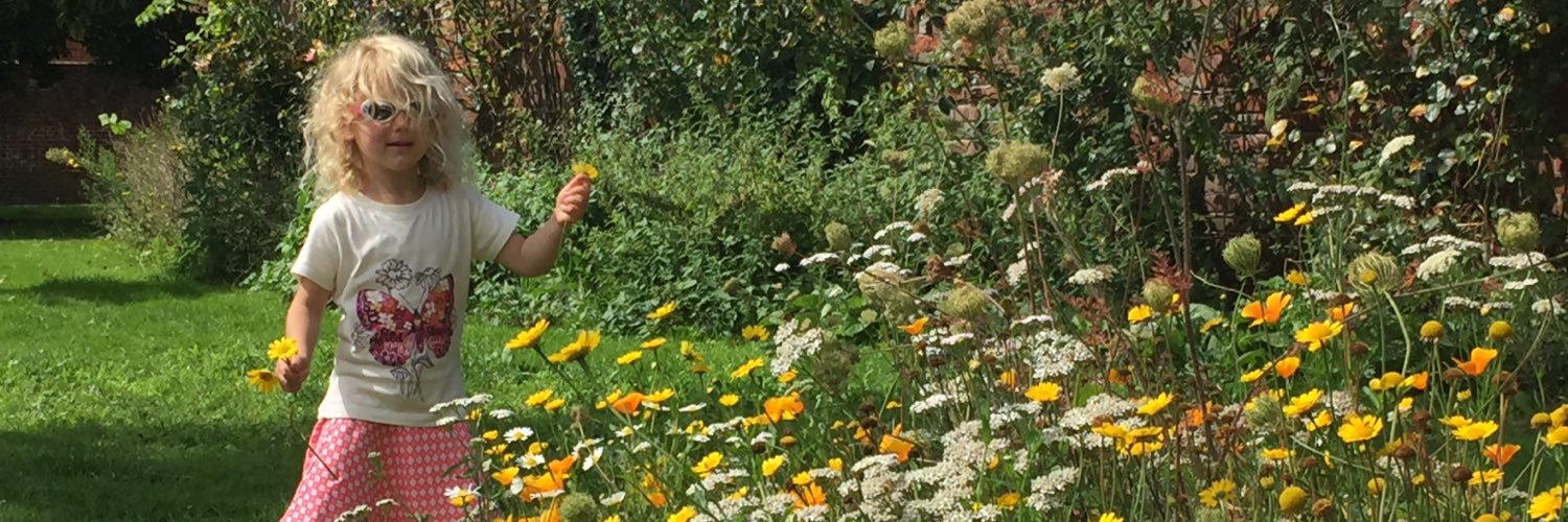 Robert Kuiper banner