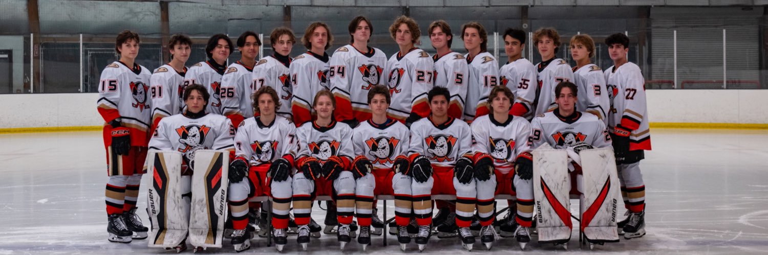 Jr Ducks 18 AAA banner