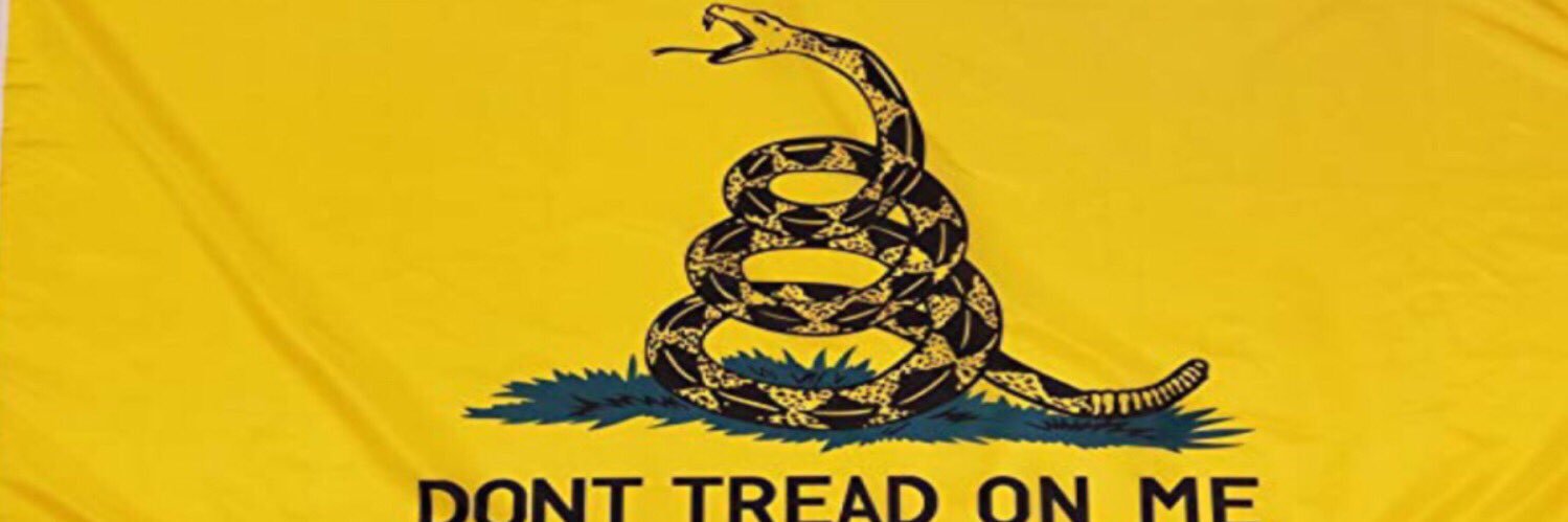 Peggy Strickland™- God Bless a FREE USA!🇺🇸 banner