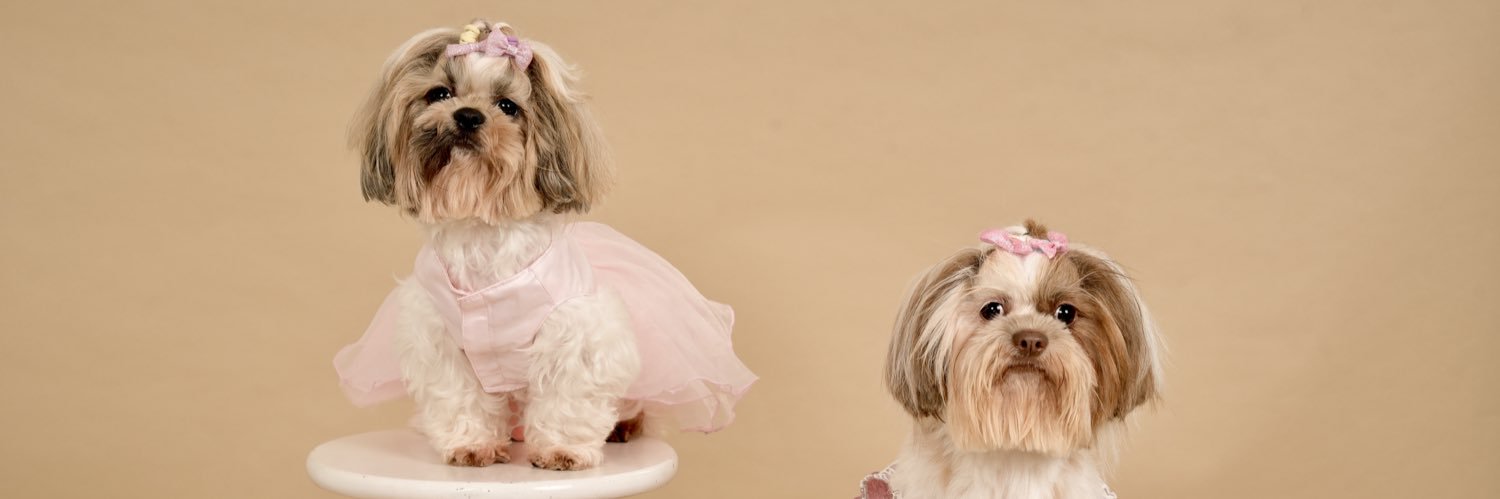 DIANNEcdotes's profile banner image