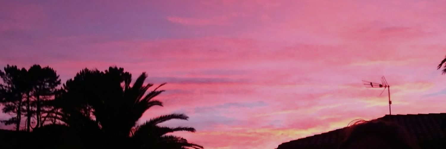 Laaaarrr's profile banner image