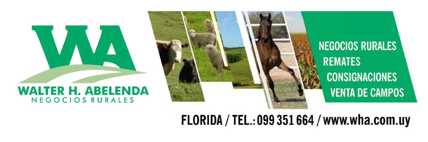 WALTER H.ABELENDA banner