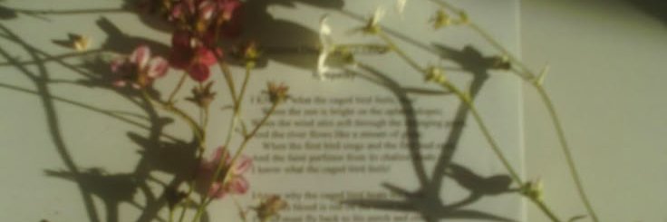 ࣪ banner