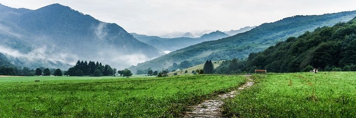 MetamorphicMind's profile banner image