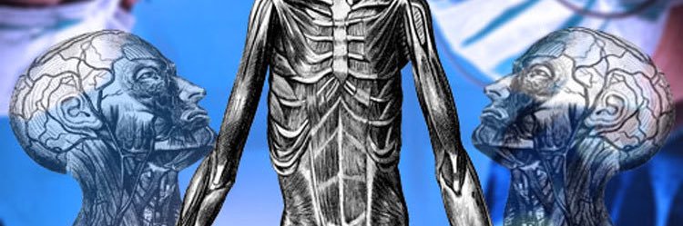 wiredopposite's profile banner image