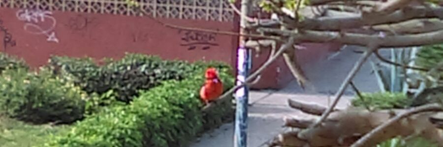 omaralvan's profile banner image